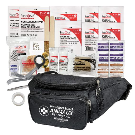 Trousse de Premiers Soins de Base pour Animaux de Compagnie - Sac Banane