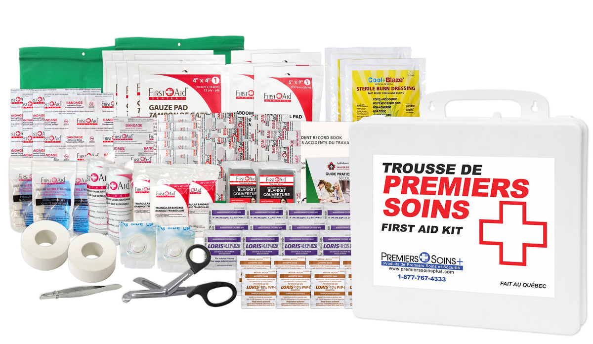 Trousse de premiers soins fédérale aviation de Type B