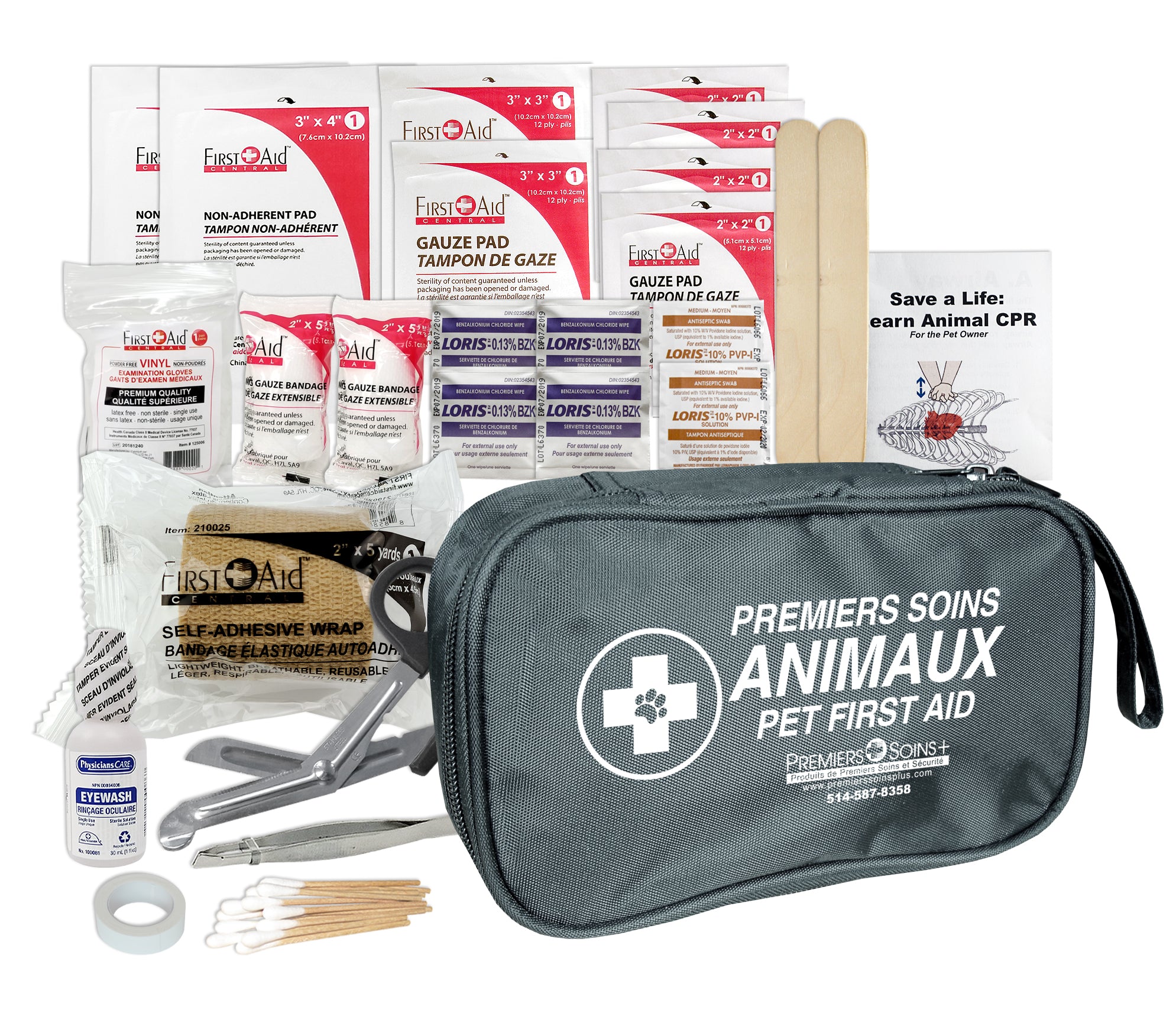 Trousse de Premiers Soins de Base pour Animaux de Compagnie